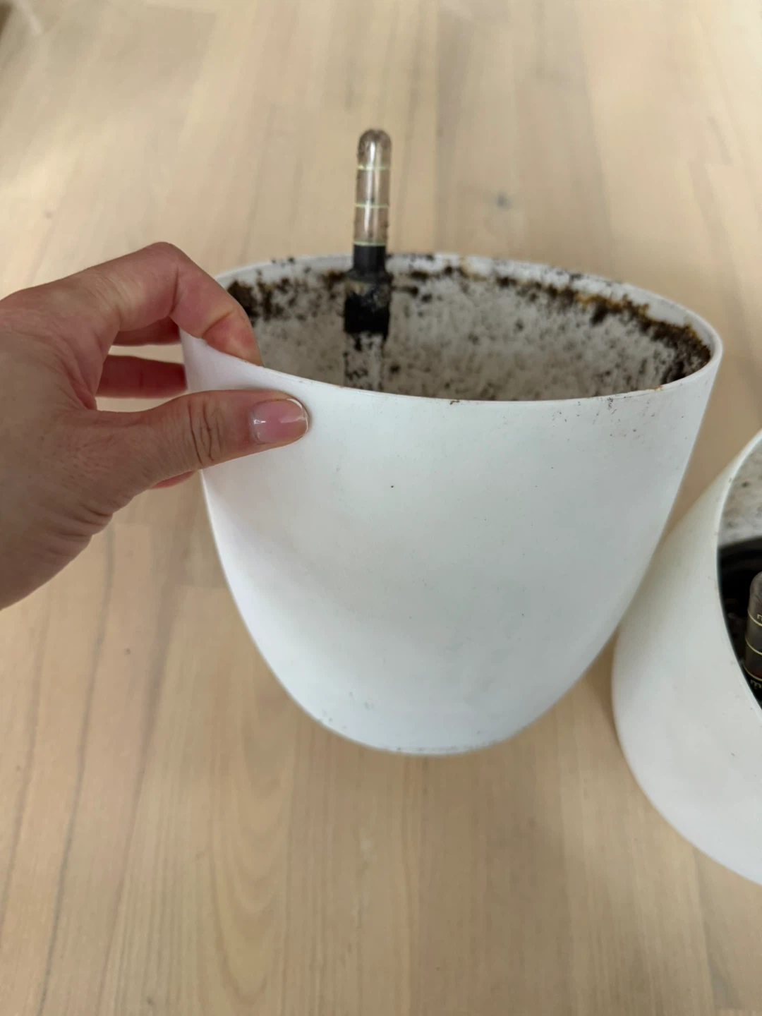 FREE White Self-Watering Planters - photo 2