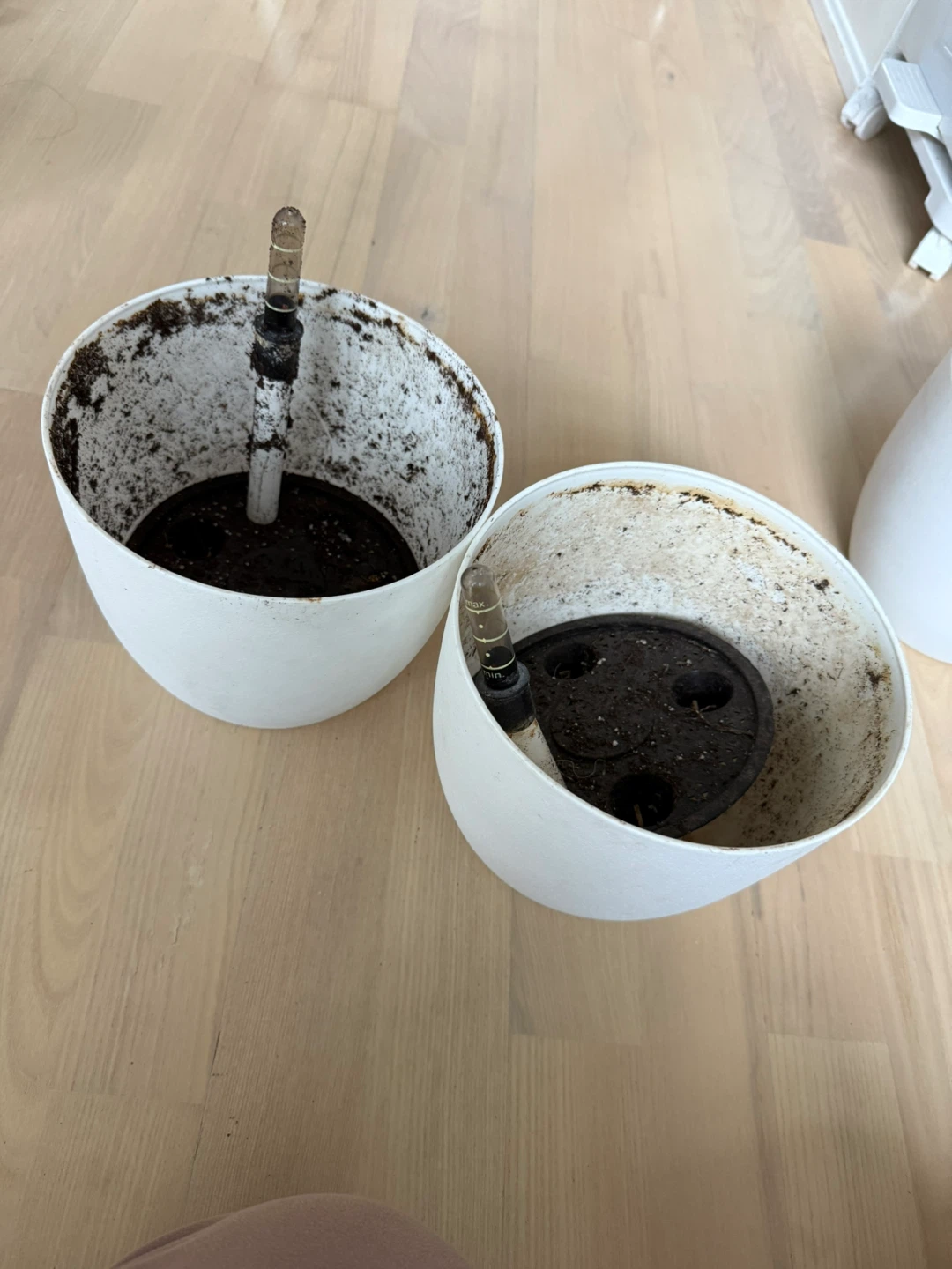 FREE White Self-Watering Planters