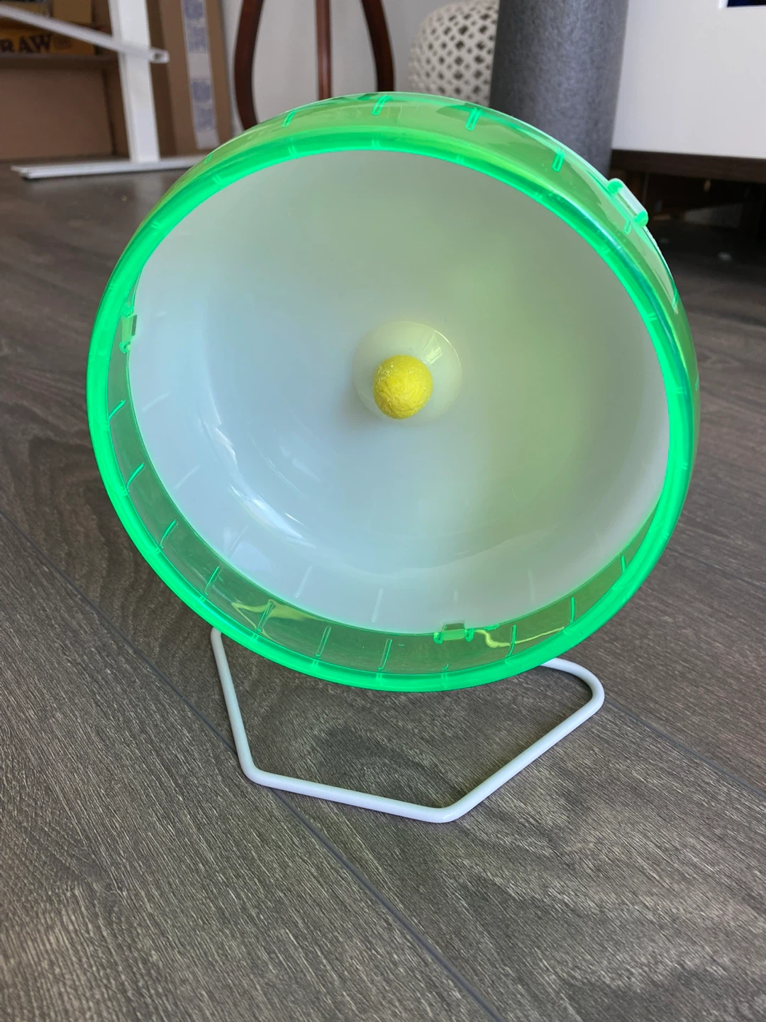 Hamster Exercise Wheel - Green