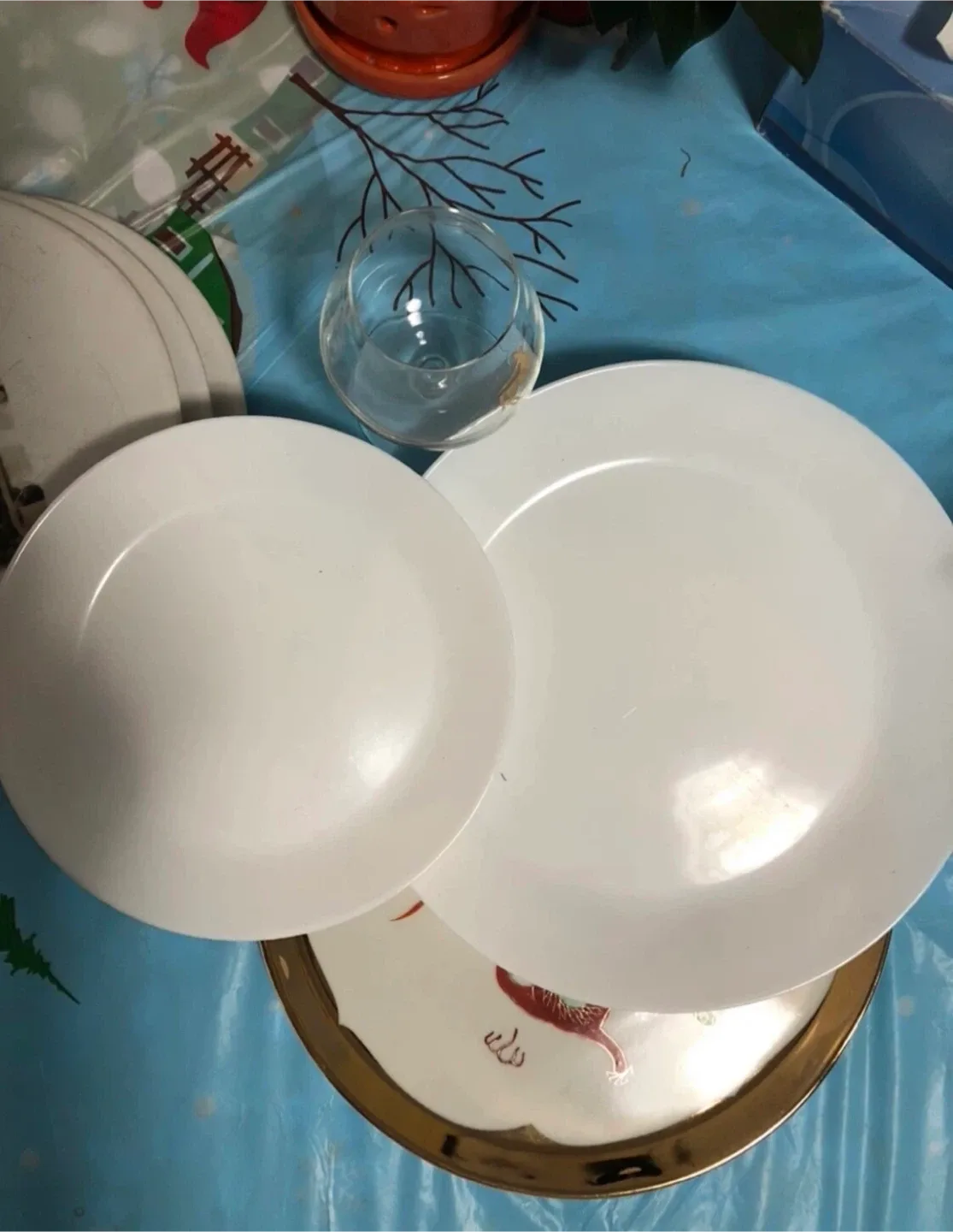 🆓Plates & a glass image indicator(4)