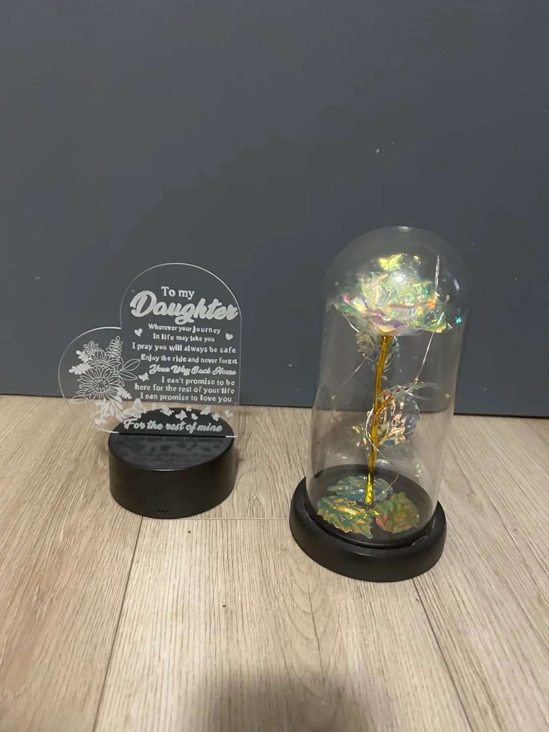 Rose in Glass Dome & Daughter LED Light thumbnail