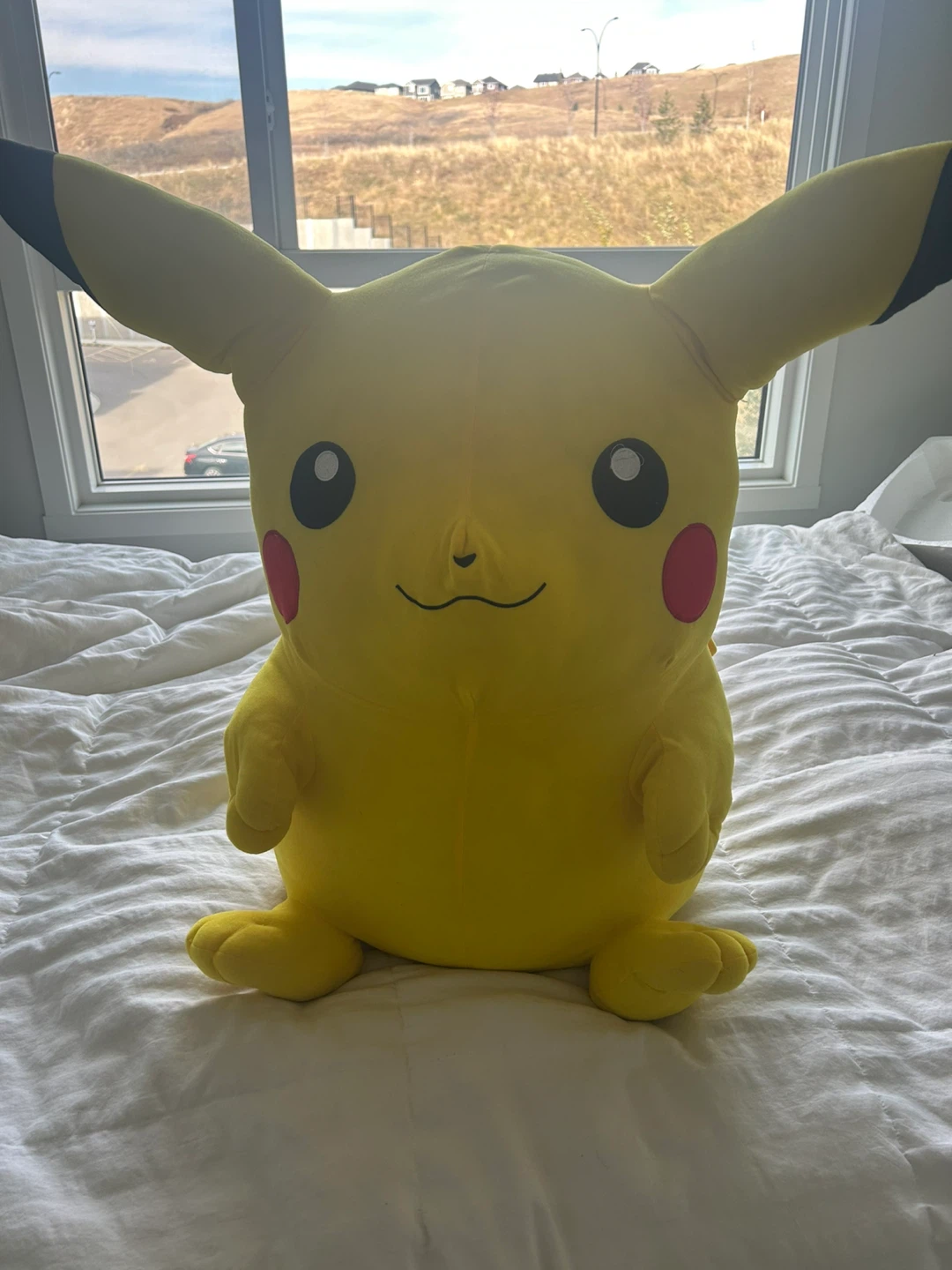 Pikachu Plush Toy