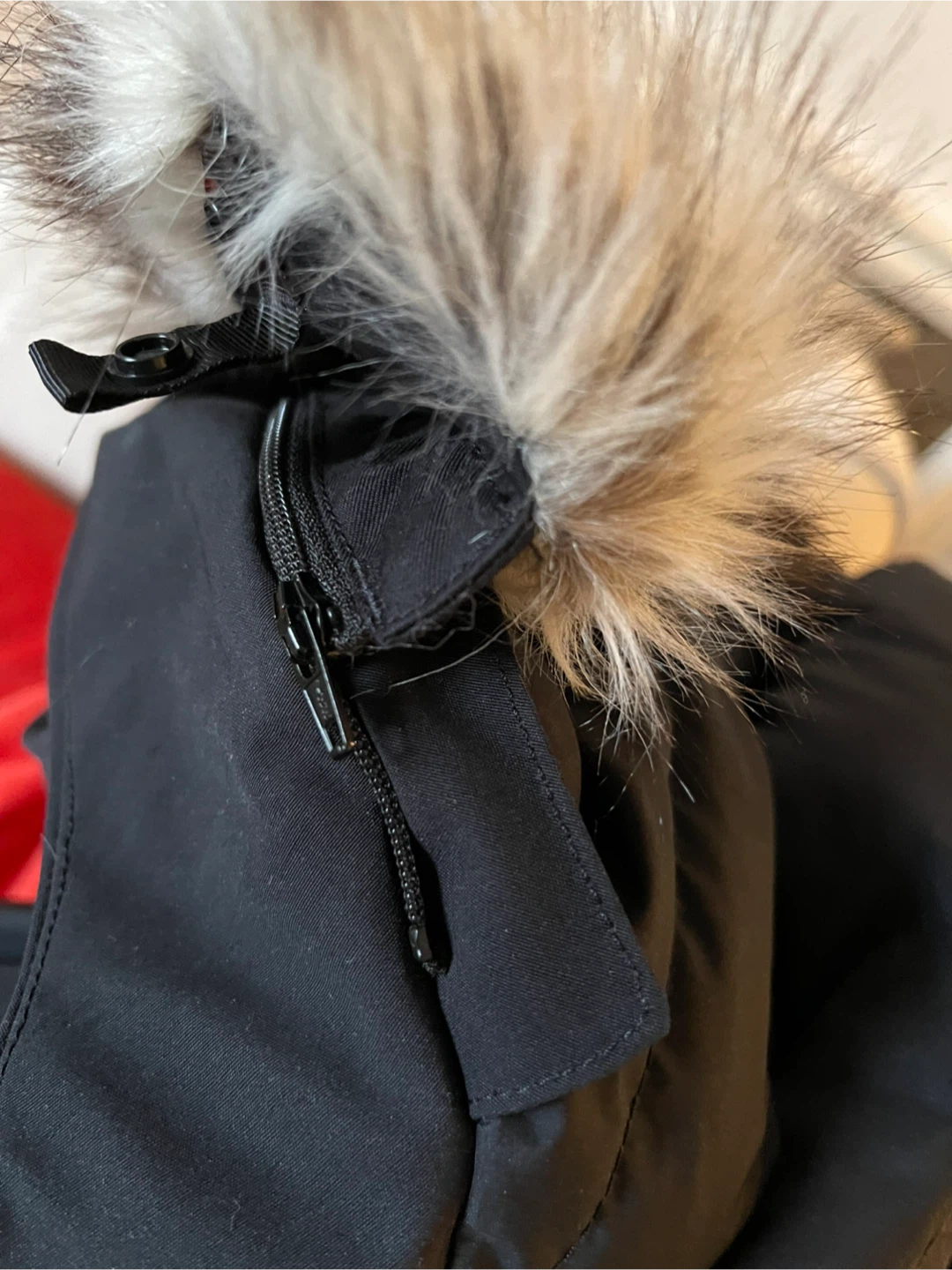 The North Face Women’s Black Parka - photo 5