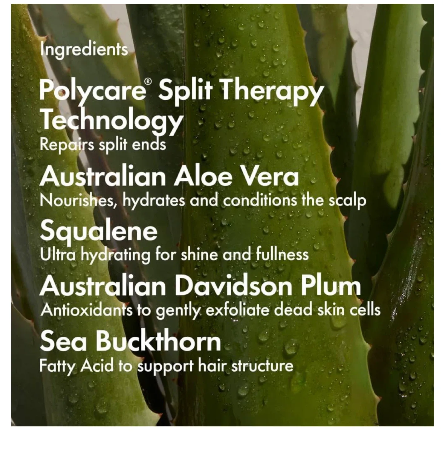 Bondi Boost Rapid Repair Shampoo - 500ml image indicator(3)