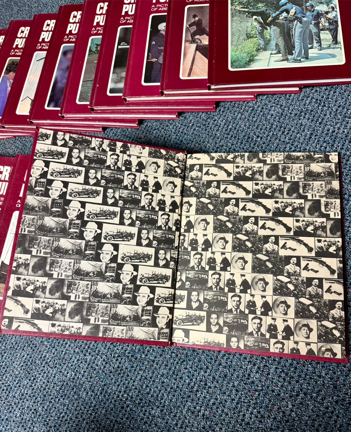 Crimes and Punishment Book Set - photo 2