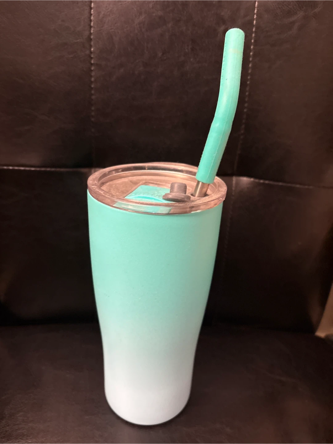 Teal Ombre Tumbler with Straw