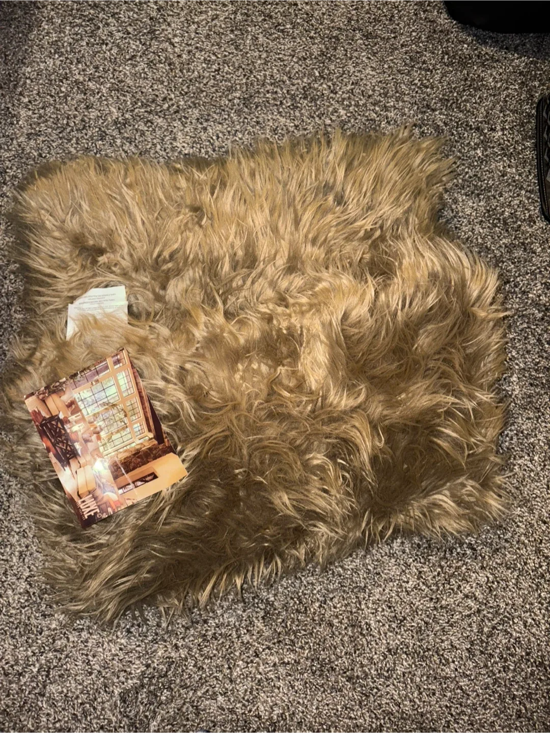 New LUXE Faux Fur Throw pillow image indicator(2)