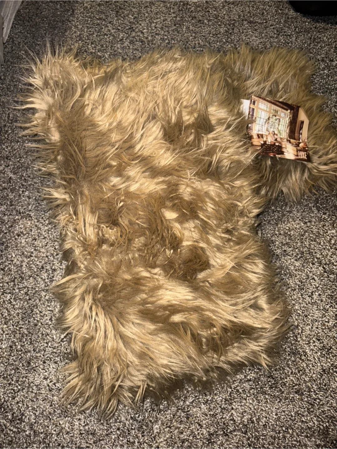 New LUXE Faux Fur Throw pillow image indicator(3)