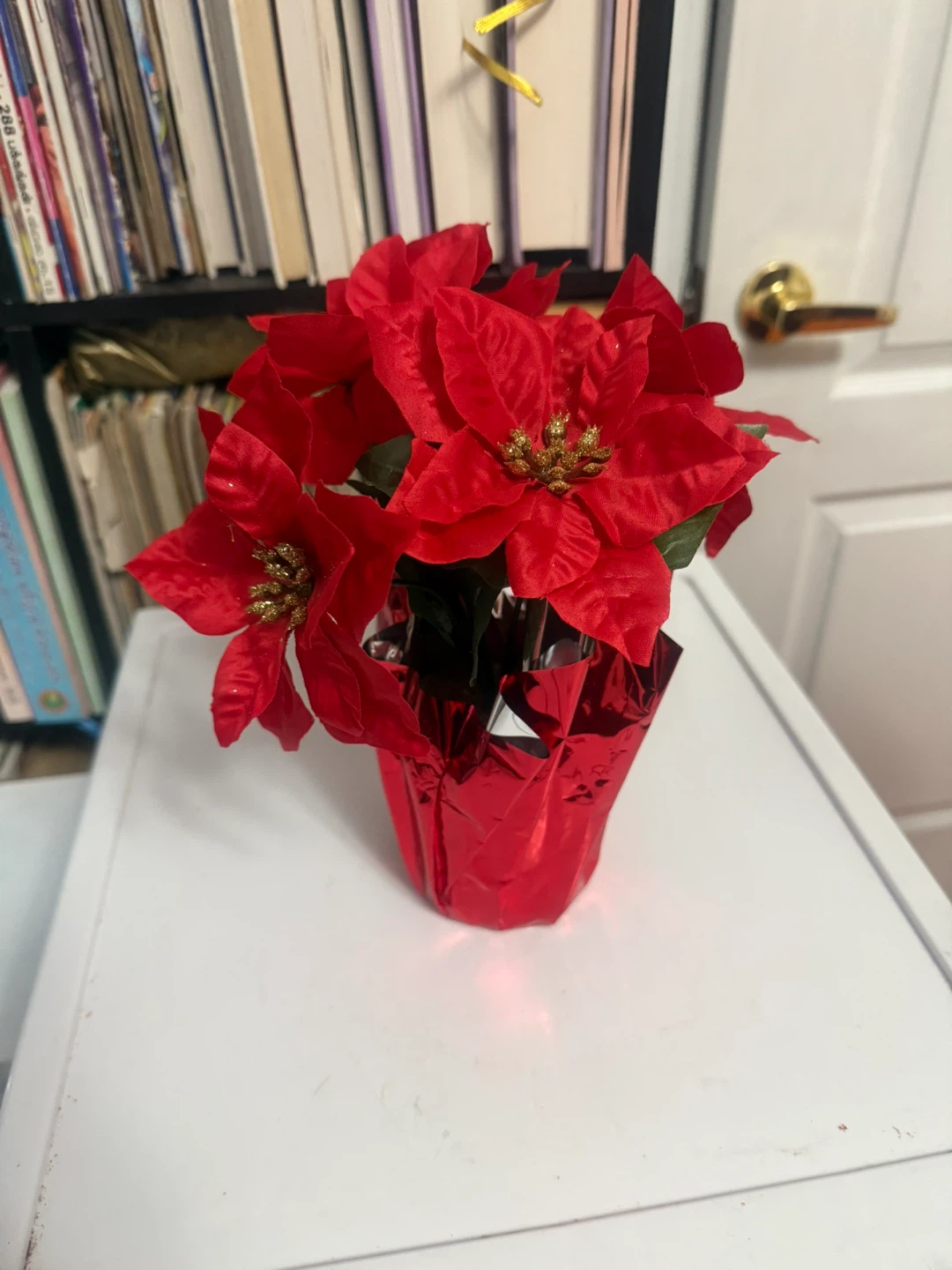 Red Poinsettia Plant
