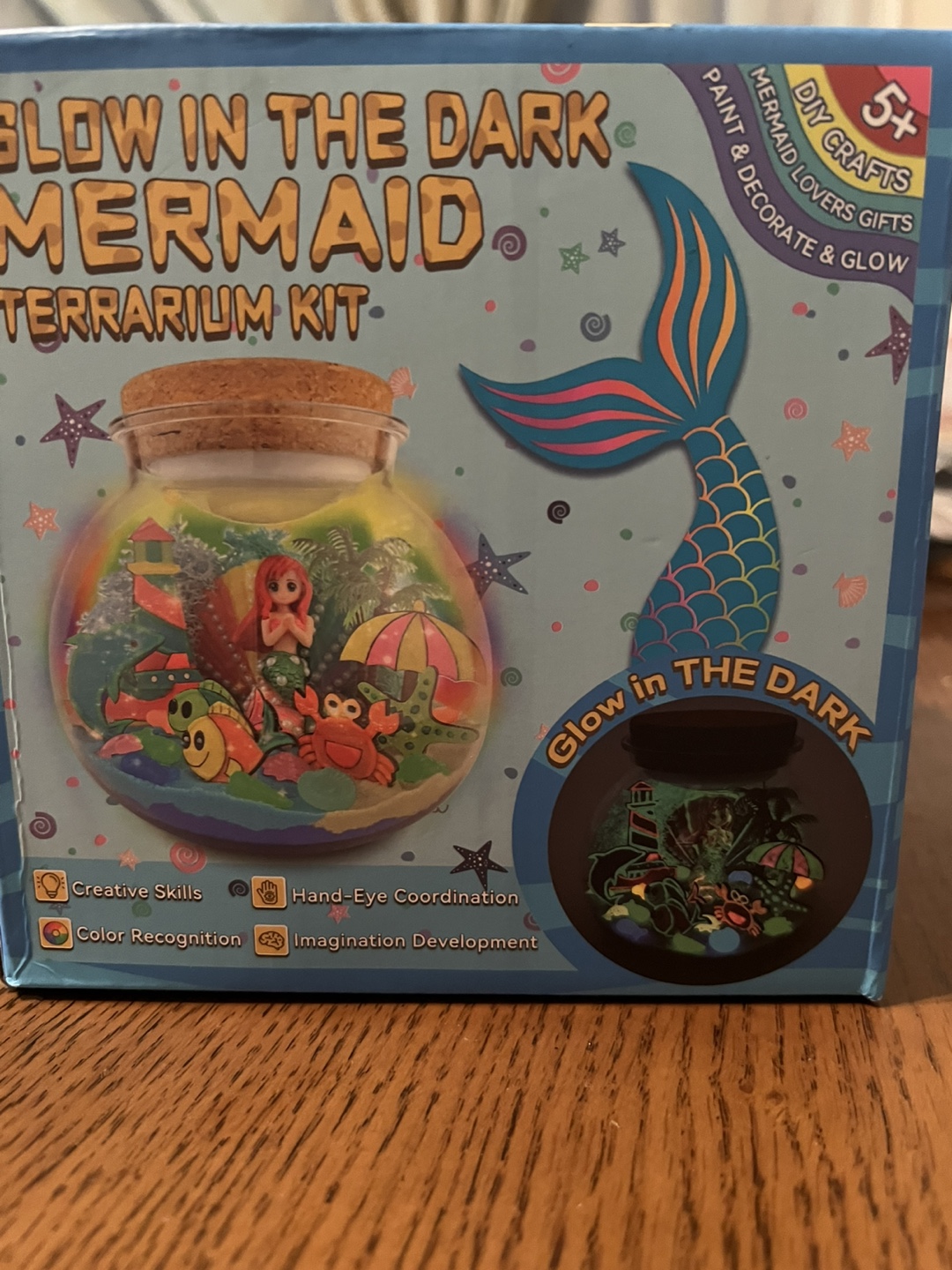 Glow In The Dark Mermaid Terrarium Kit