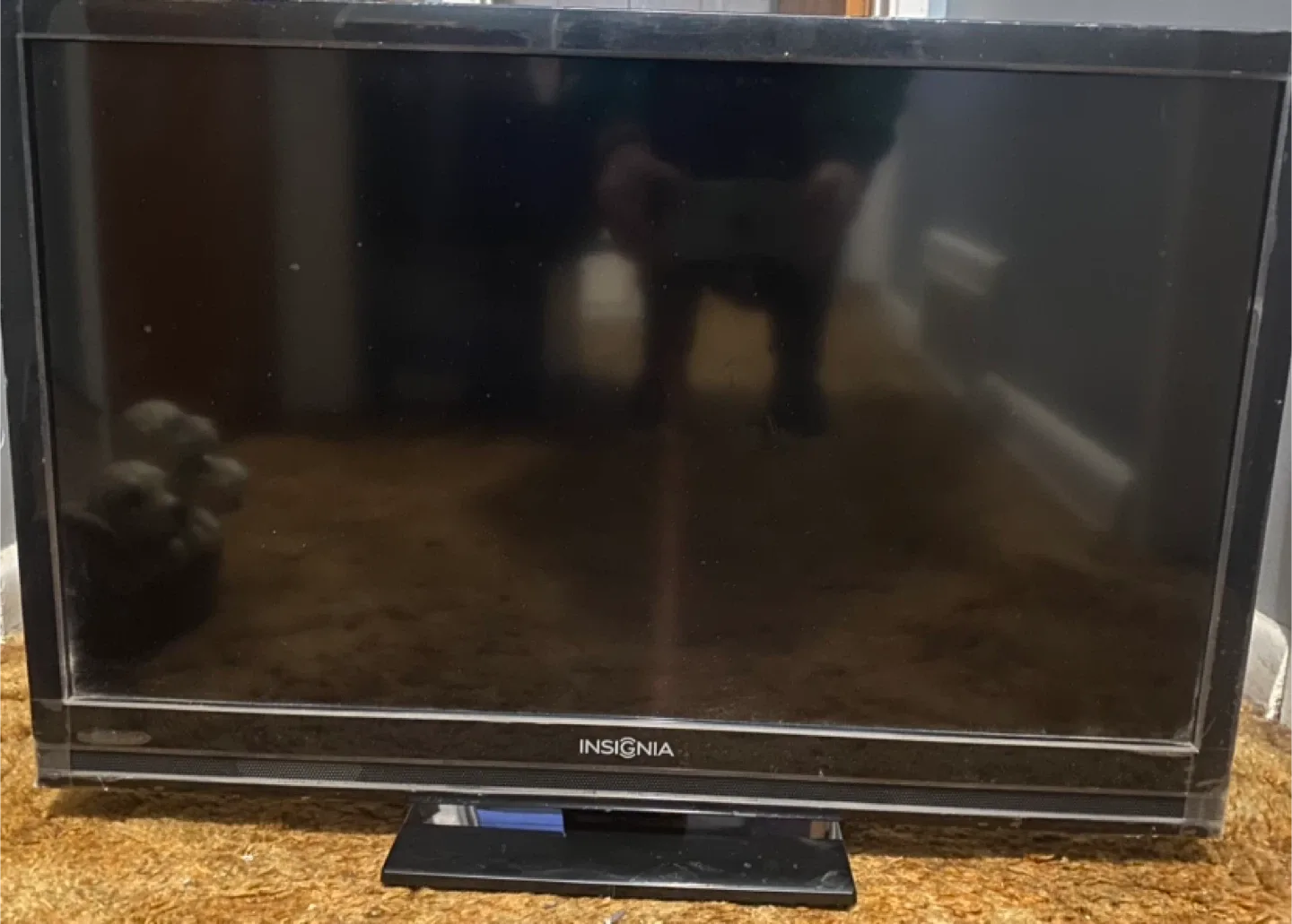 Insignia 29" LCD TV with Remote thumbnail