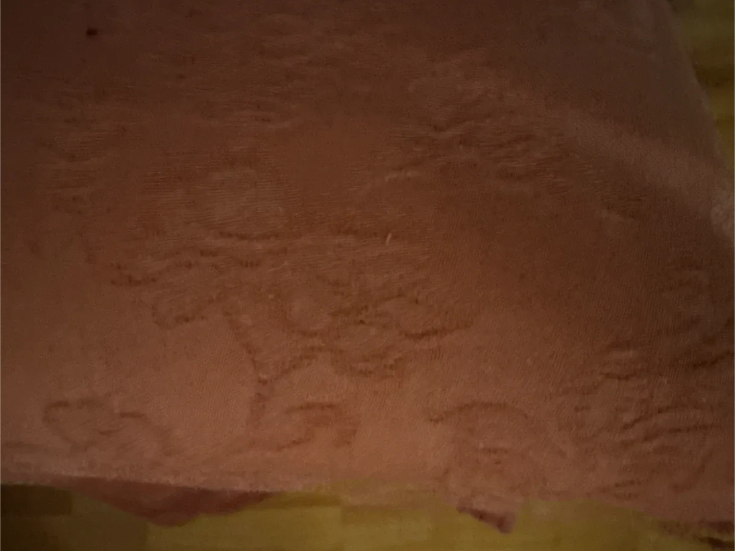 Upholstered Dining Chair - Terracotta chairs image indicator(3)