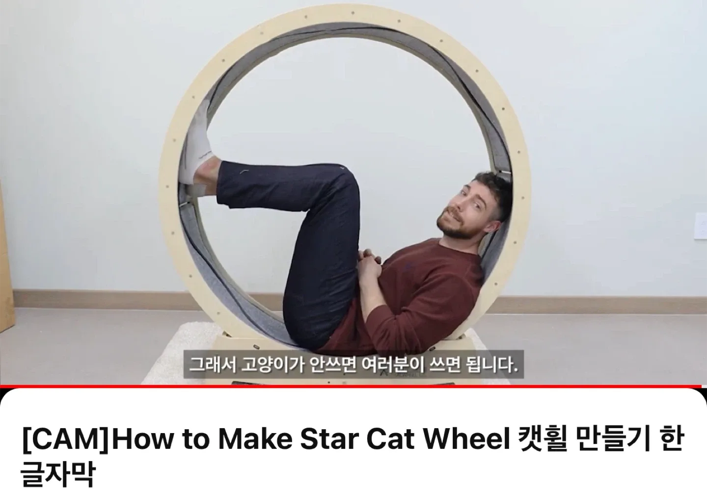 Star Cat Wheel - Cat Treadmill image indicator(4)