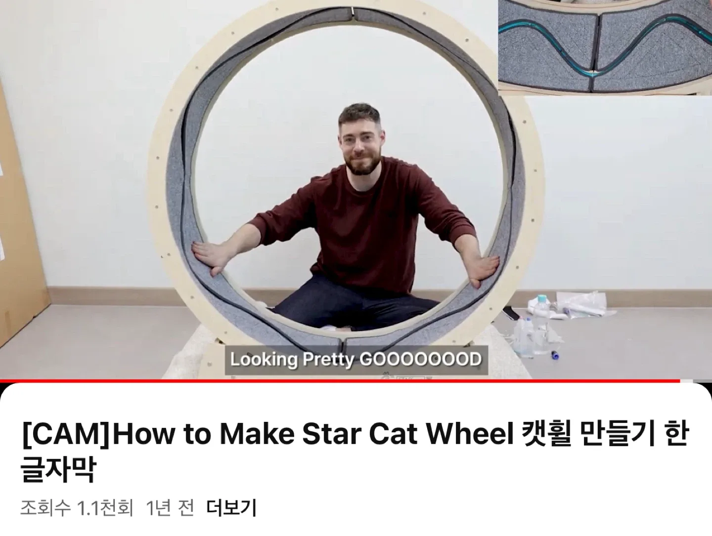 Star Cat Wheel - Cat Treadmill image indicator(3)