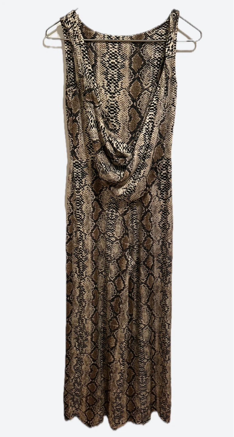 Animal print and Fringe Dress