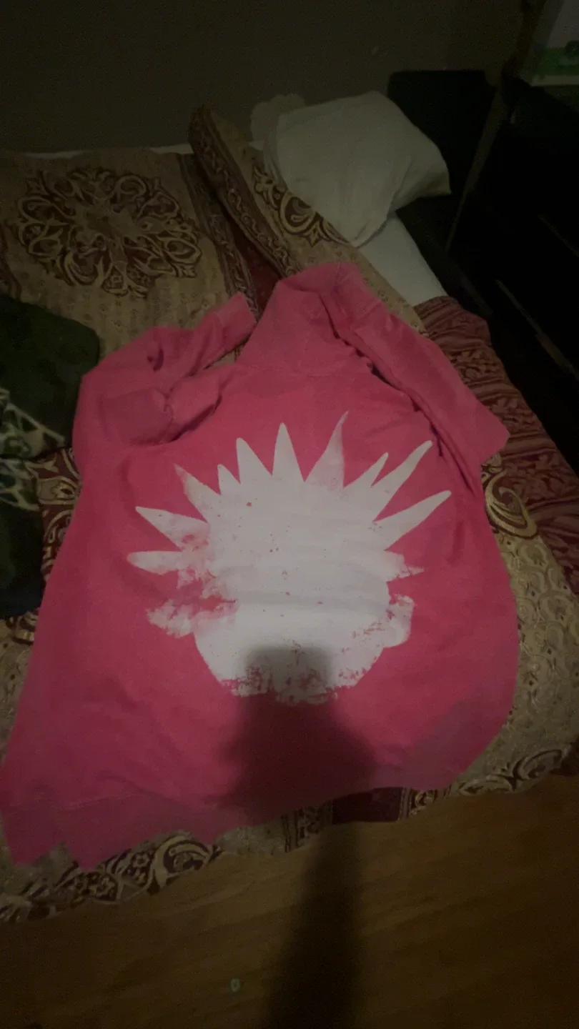 Pink y2k hoodie image indicator(2)