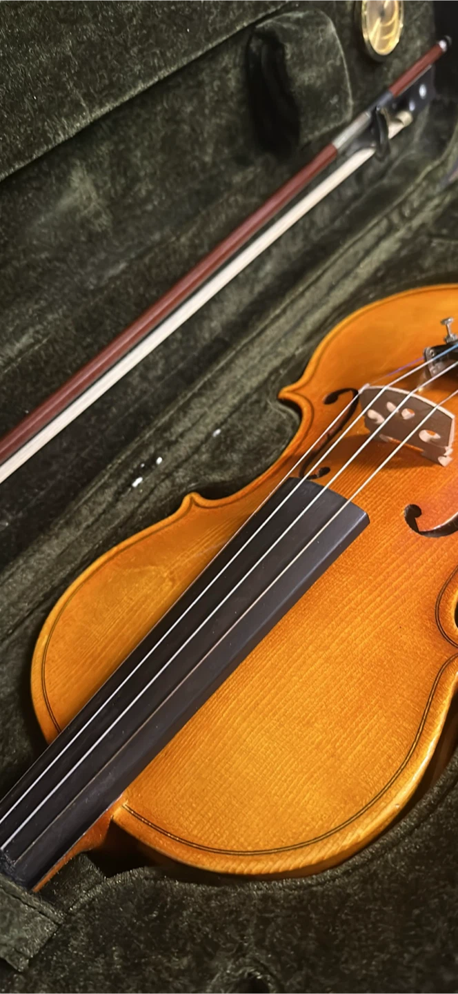 4/4 Violin - photo 2