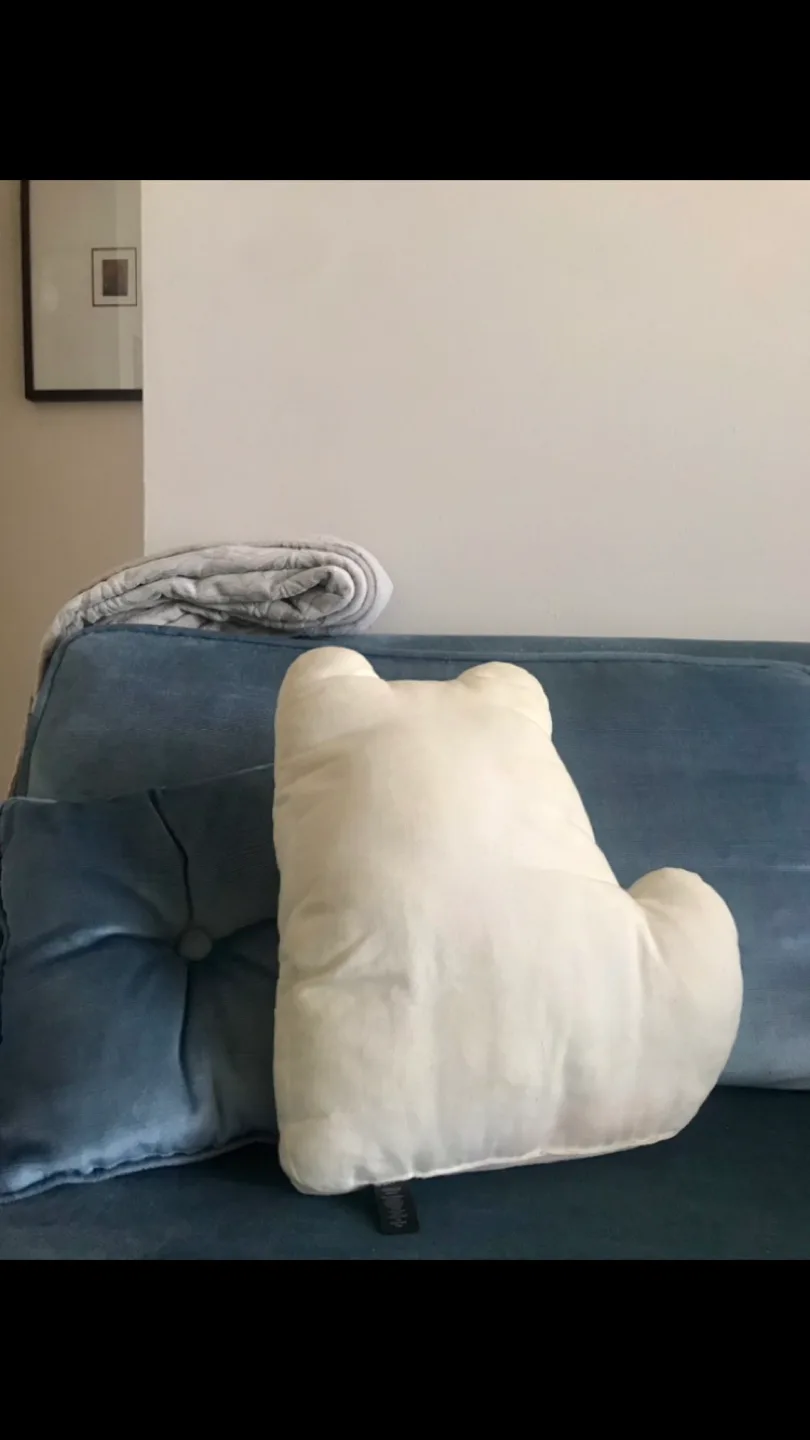 Adorable Cat Design Cushion +✨FREE Cat Earrings image indicator(4)