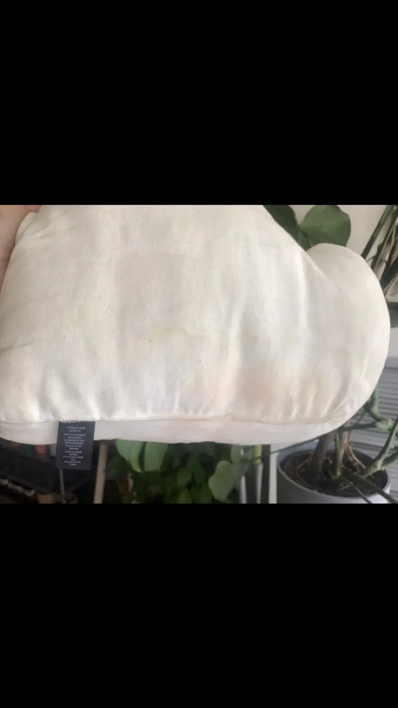 Adorable Cat Design Cushion +✨FREE Cat Earrings image indicator(6)