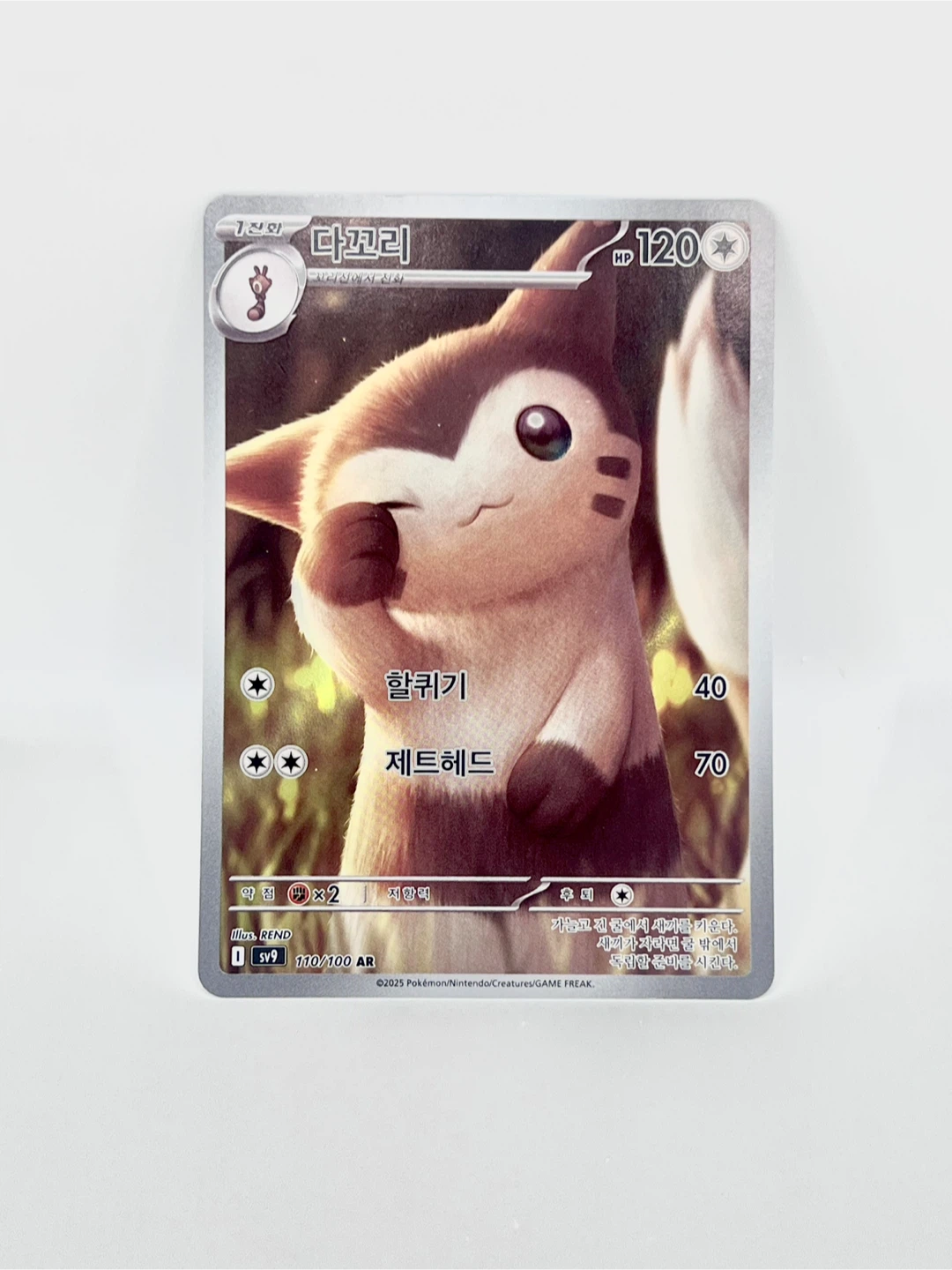 Pokemon Card - Fidough (다꼬리) 110/100 AR