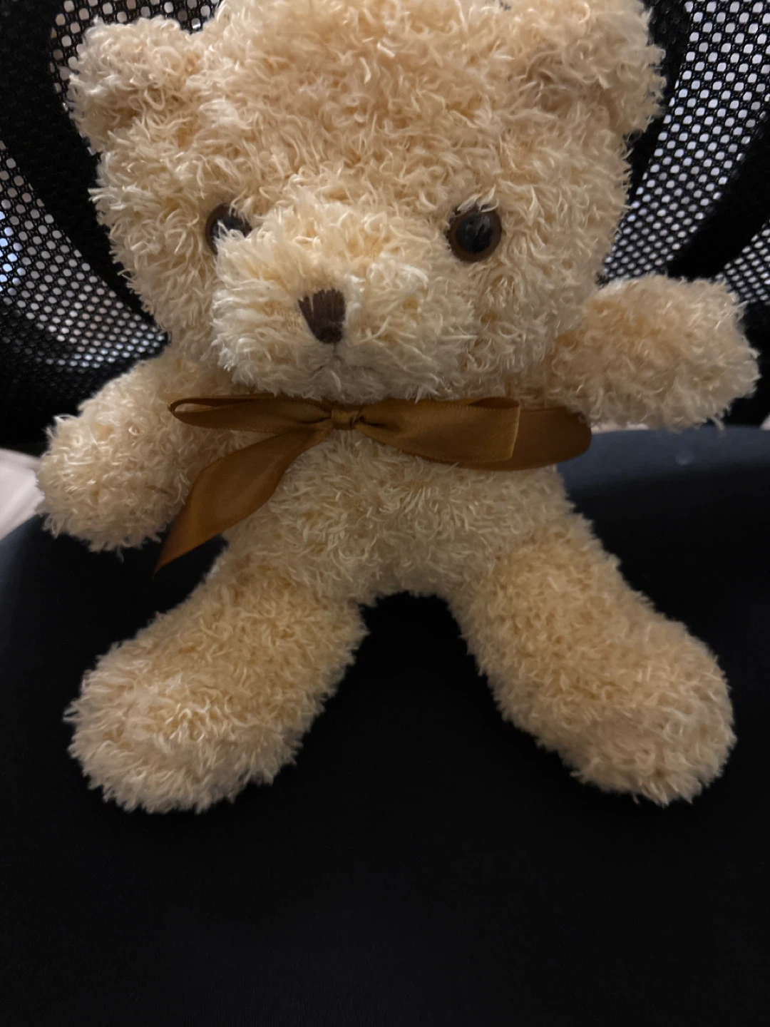 Cute Beige Teddy Bear Plush Toy