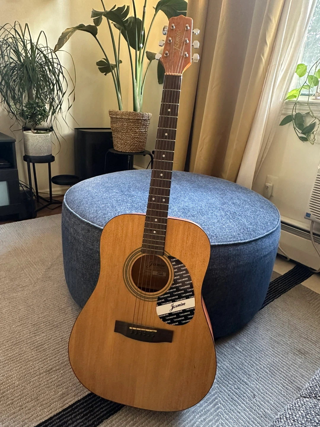 Jasmine Acoustic Guitar