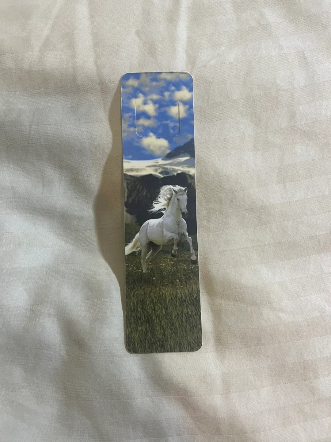 Horse Facts Bookmark thumbnail