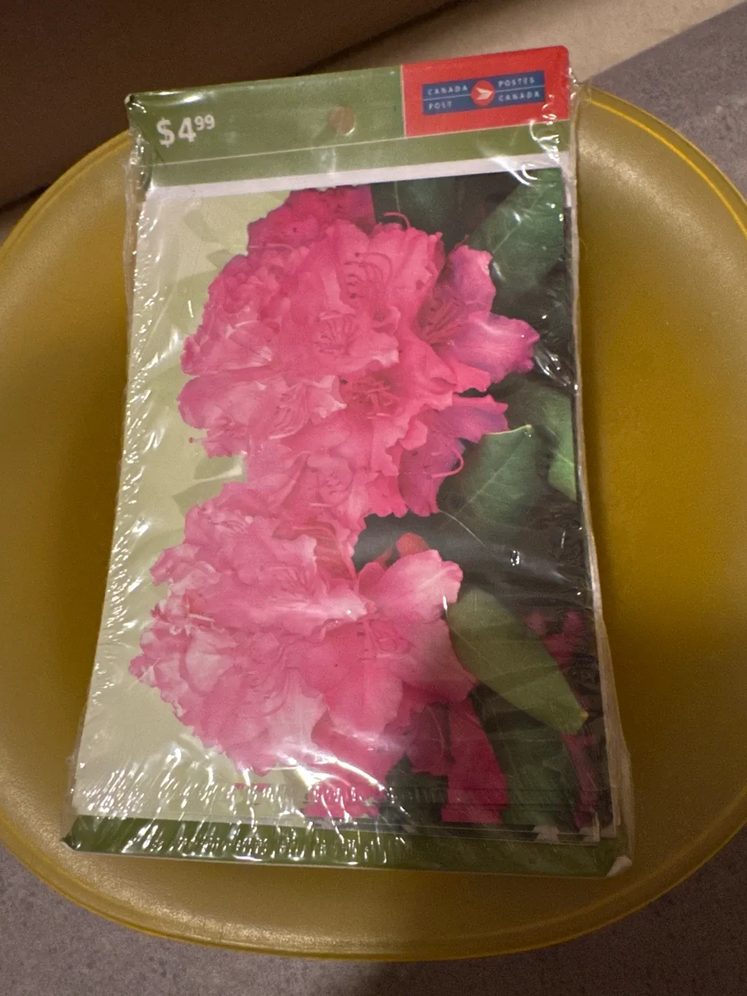 Canada Post Rhododendron Cards - New