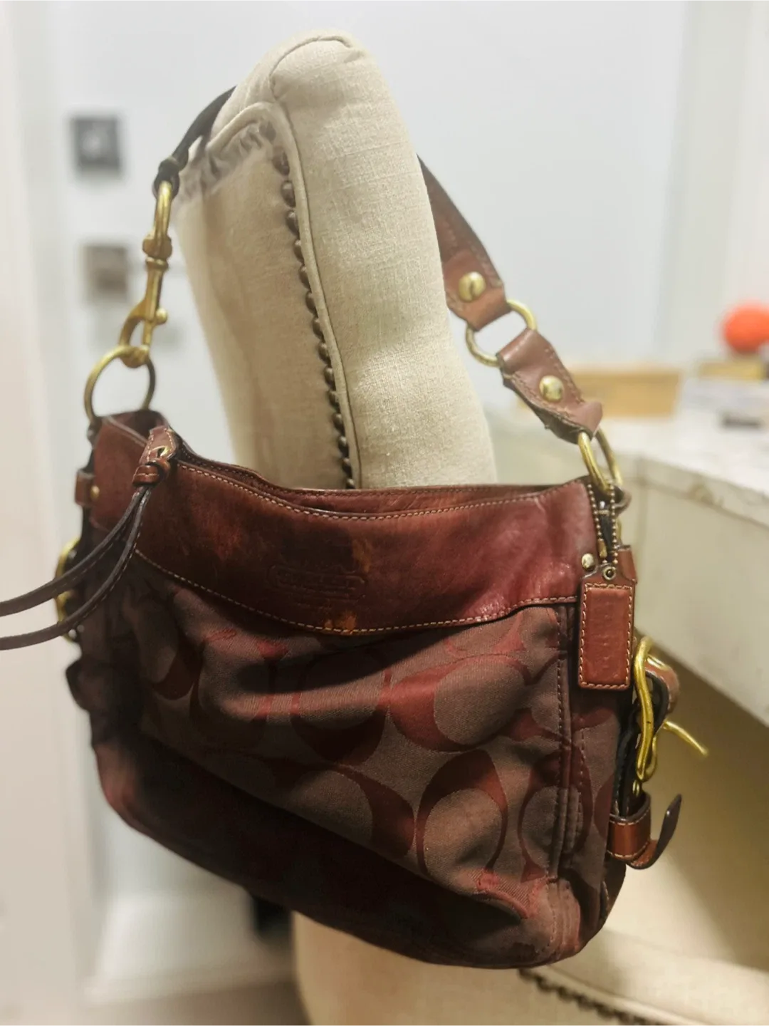 Coach Hobo Bag image indicator(2)