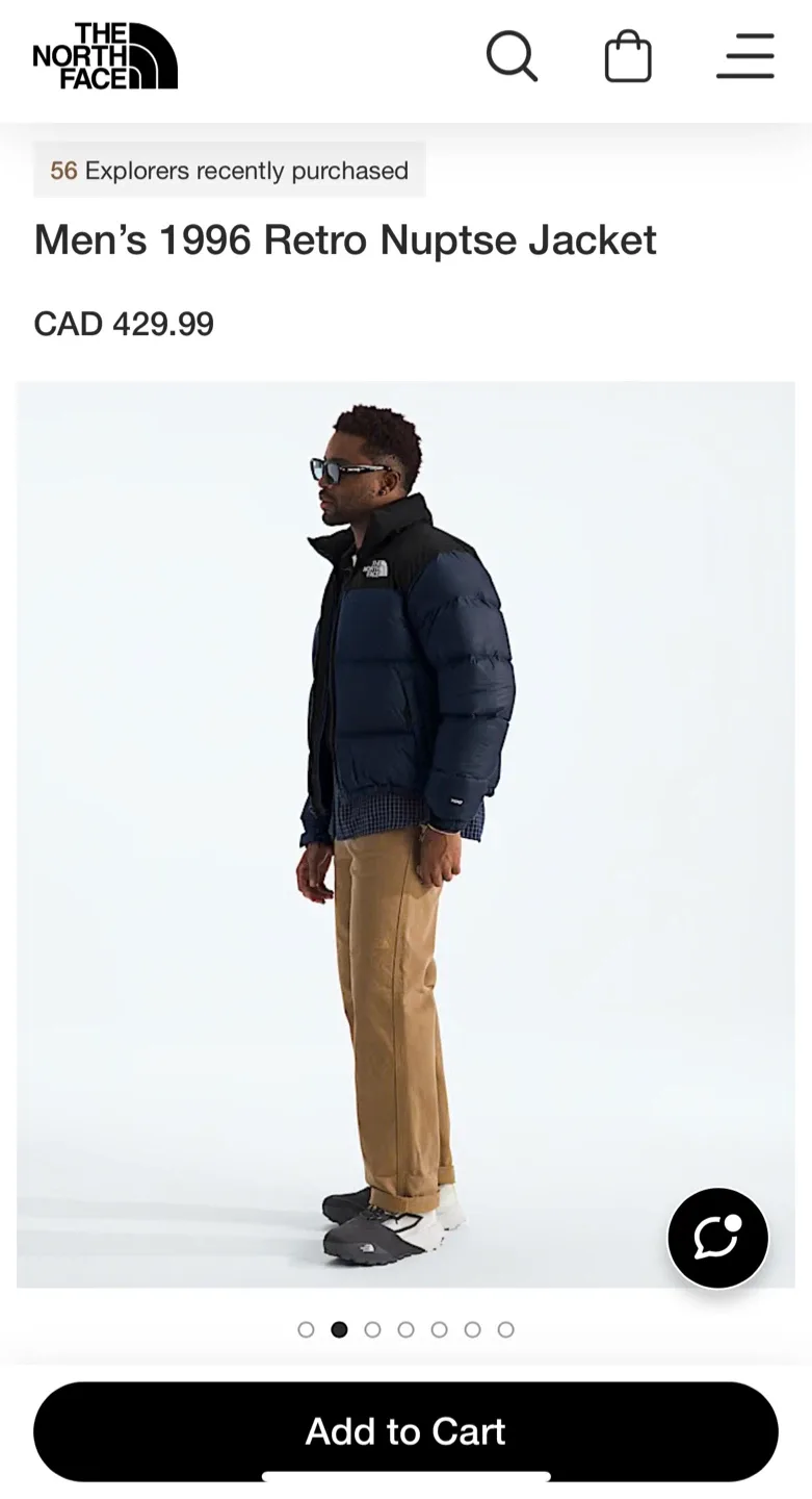 (Retail $486)New The North Face 1996 Retro Nuptse Down Jacket image indicator(9)