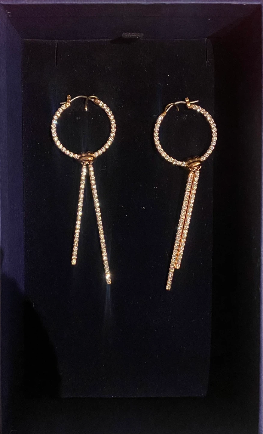 Swarovski Lifelong PE Hoop LG CRY/ROS Earrings - photo 2