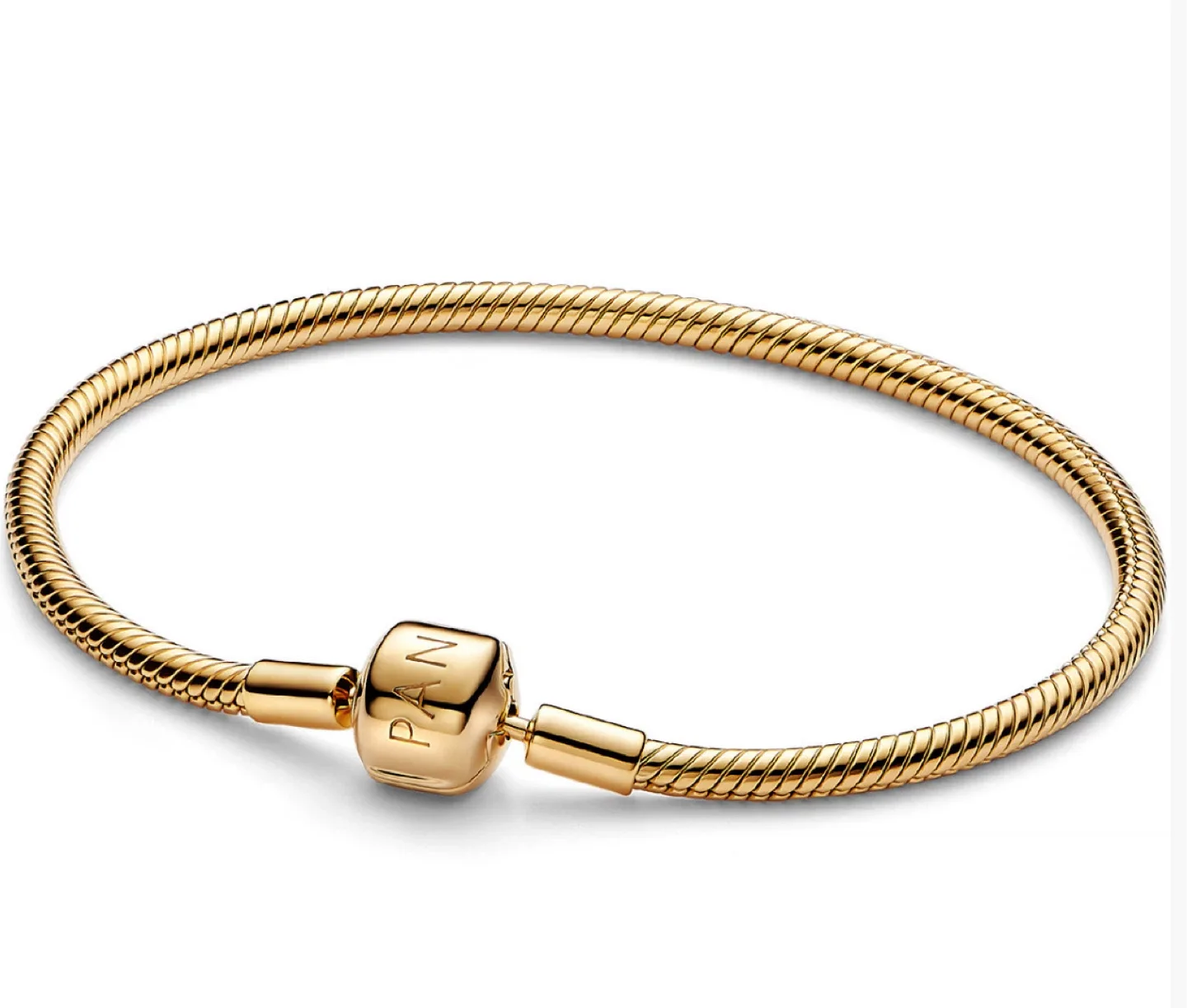 Pandora Charm Bracelet The price start at $100 EACH image indicator(7)