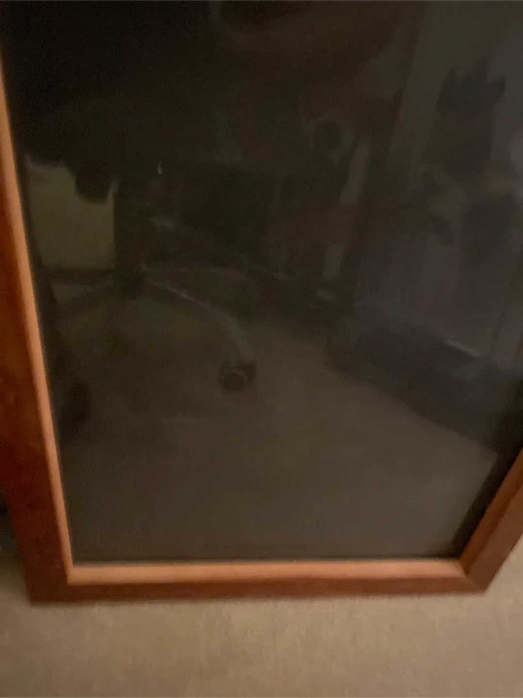 Frame 16x20" thumbnail