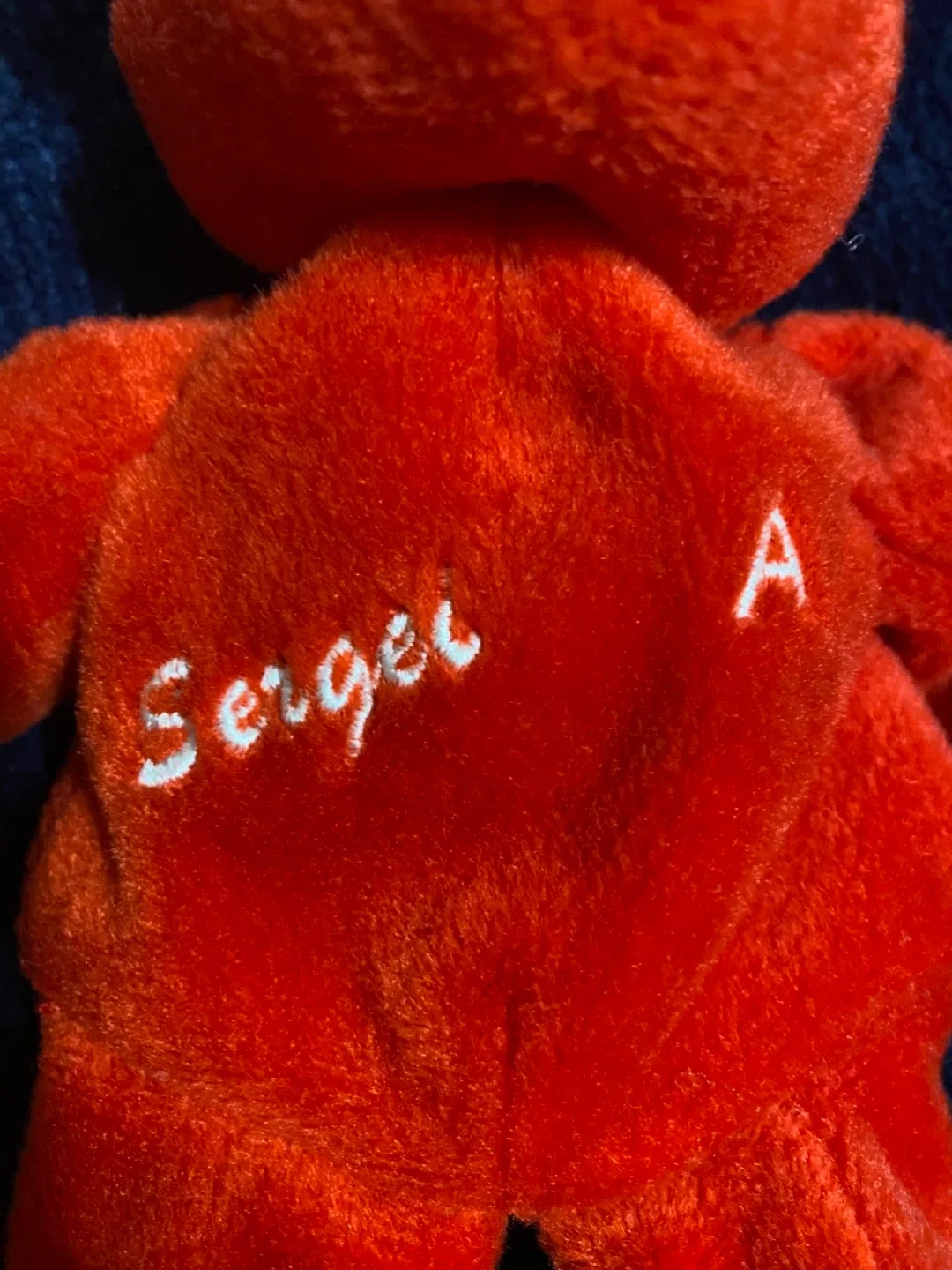 Cute NHL Plush Beanie Bear - Sergei Federov *** image indicator(2)