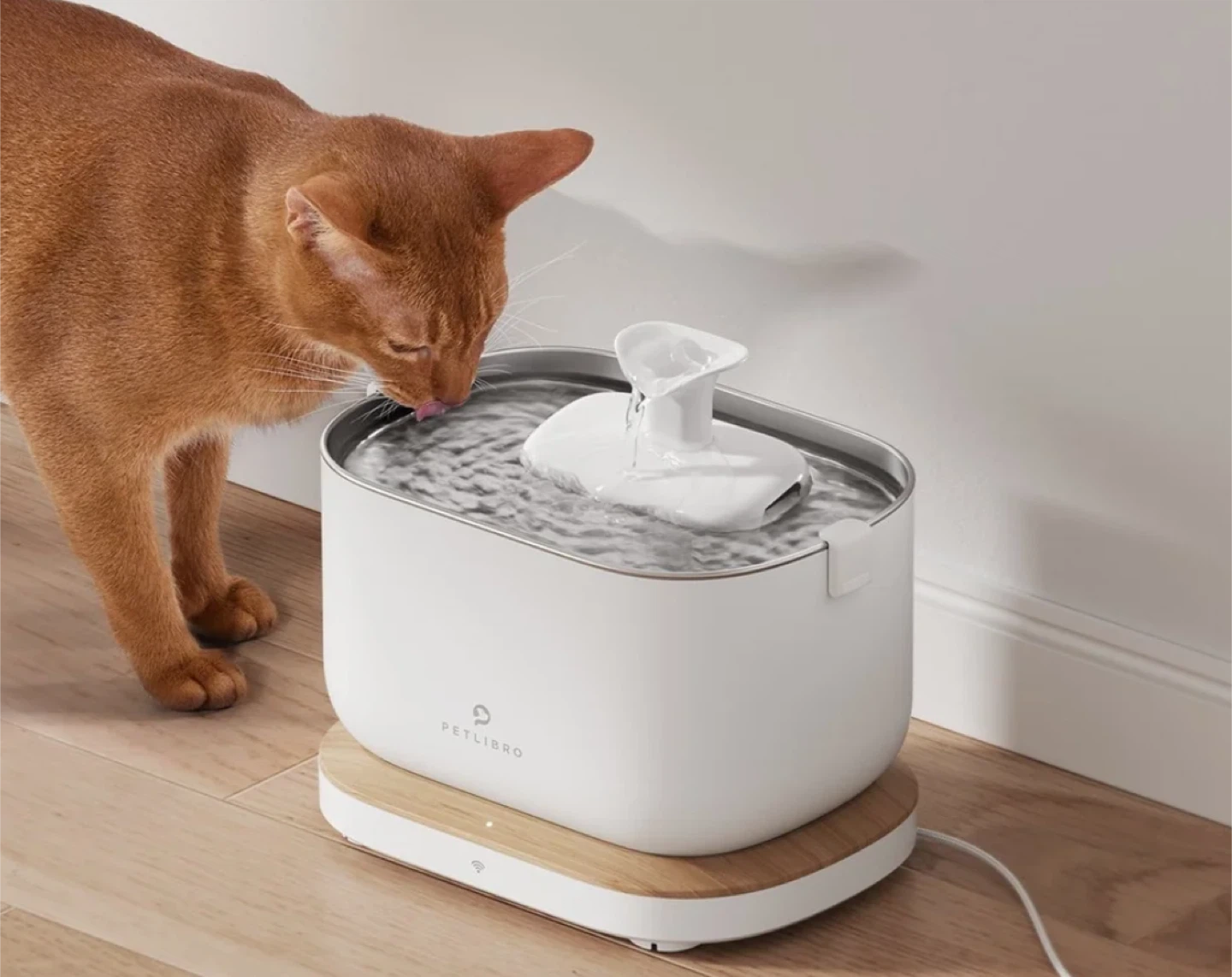 PETLIBRO Cat Water Fountain