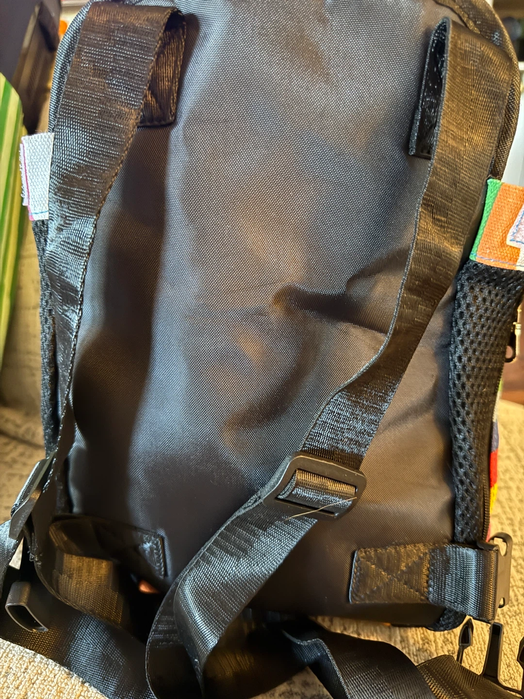 Calabaza Pets Dog Carrier Backpack - photo 2