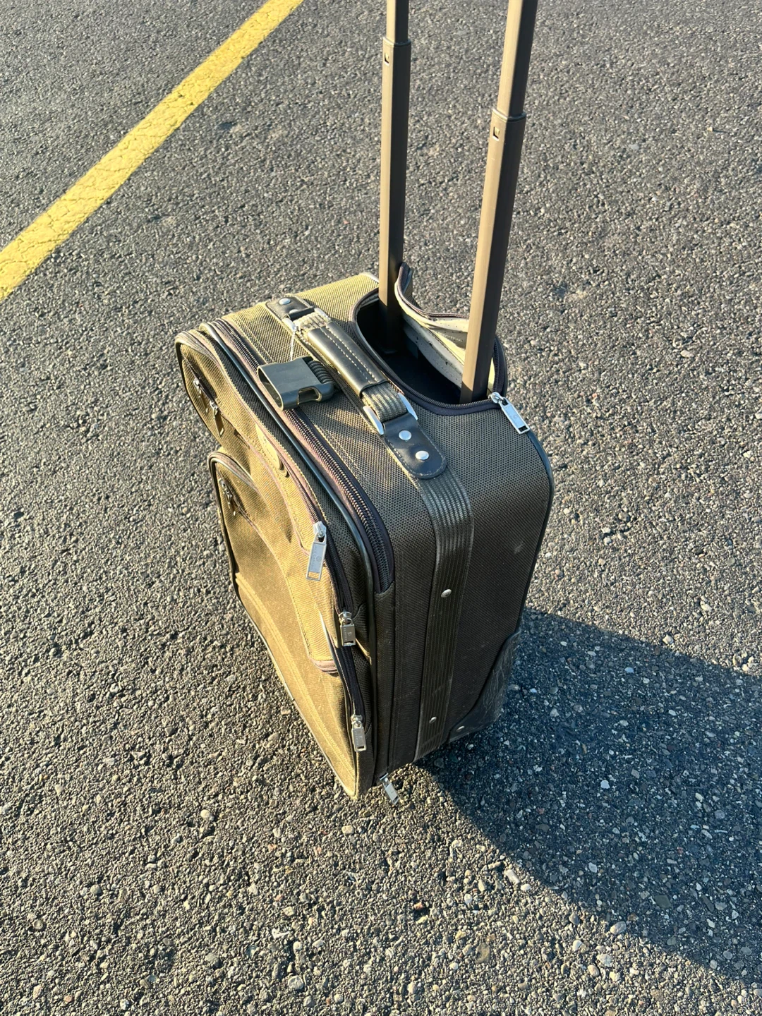 20" Air Canada luggage