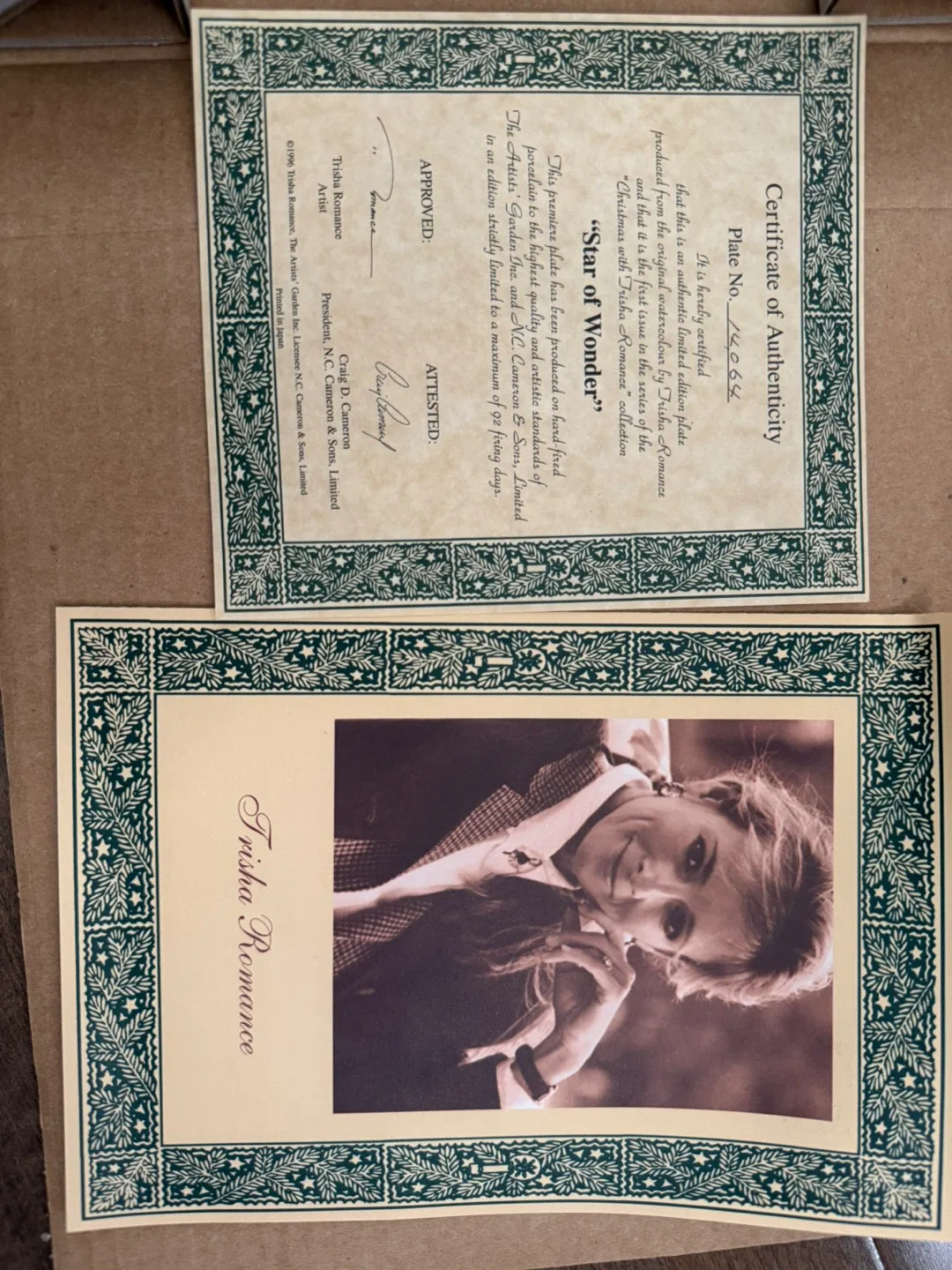 Trisha Romance "Star of Wonder" Plate No. 14064 image indicator(5)