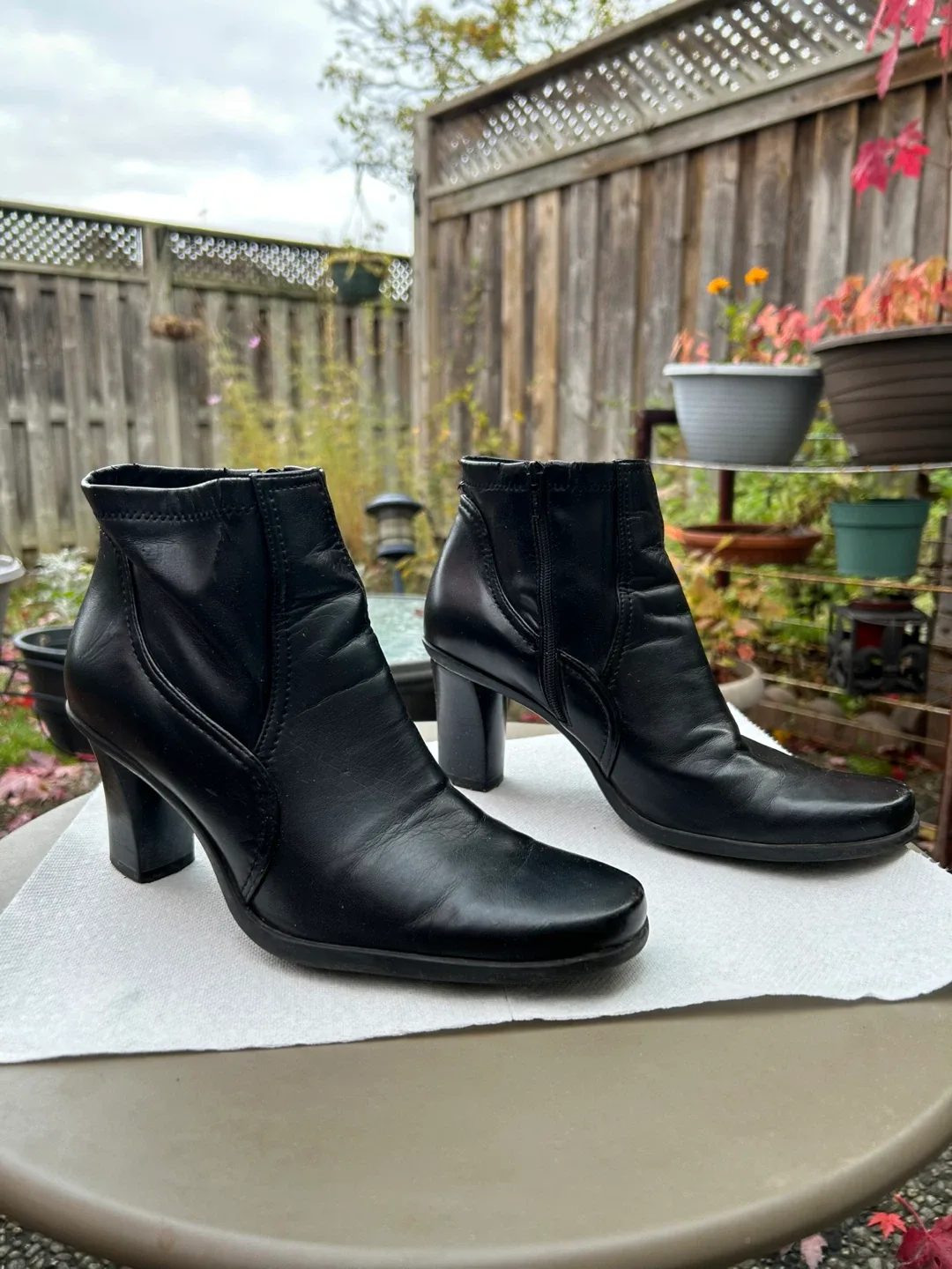 Franco Sarto Shoes image indicator(2)