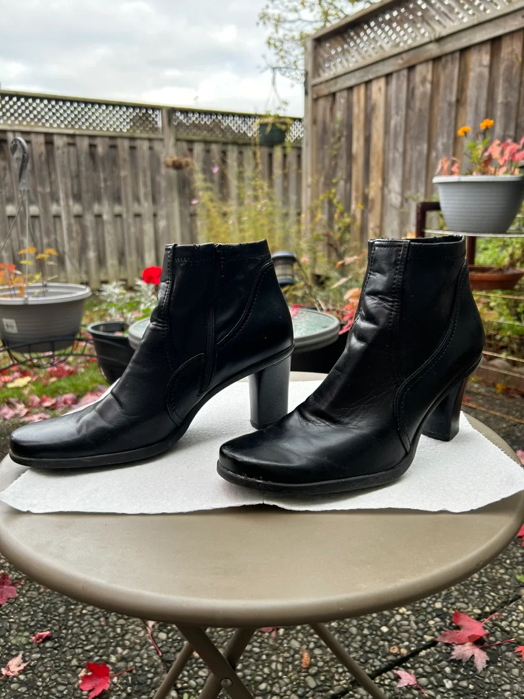 Franco Sarto Shoes image indicator(3)