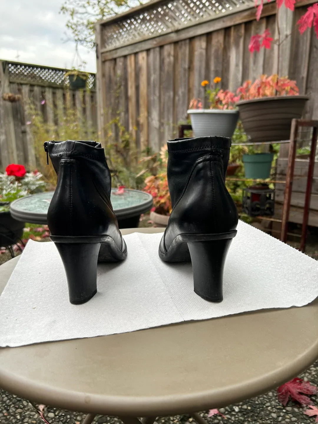 Franco Sarto Shoes image indicator(4)