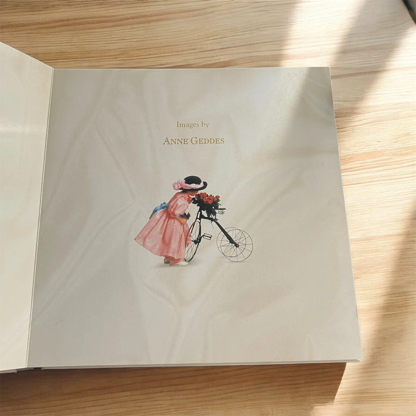NEW Anne Geddes Wedding Hard Cover Photo Album 1997 Photography image indicator(6)