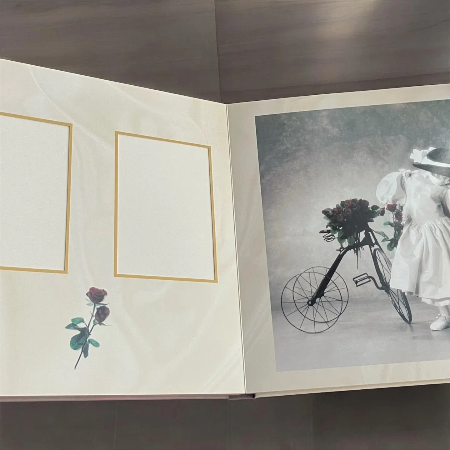 NEW Anne Geddes Wedding Hard Cover Photo Album 1997 Photography image indicator(9)