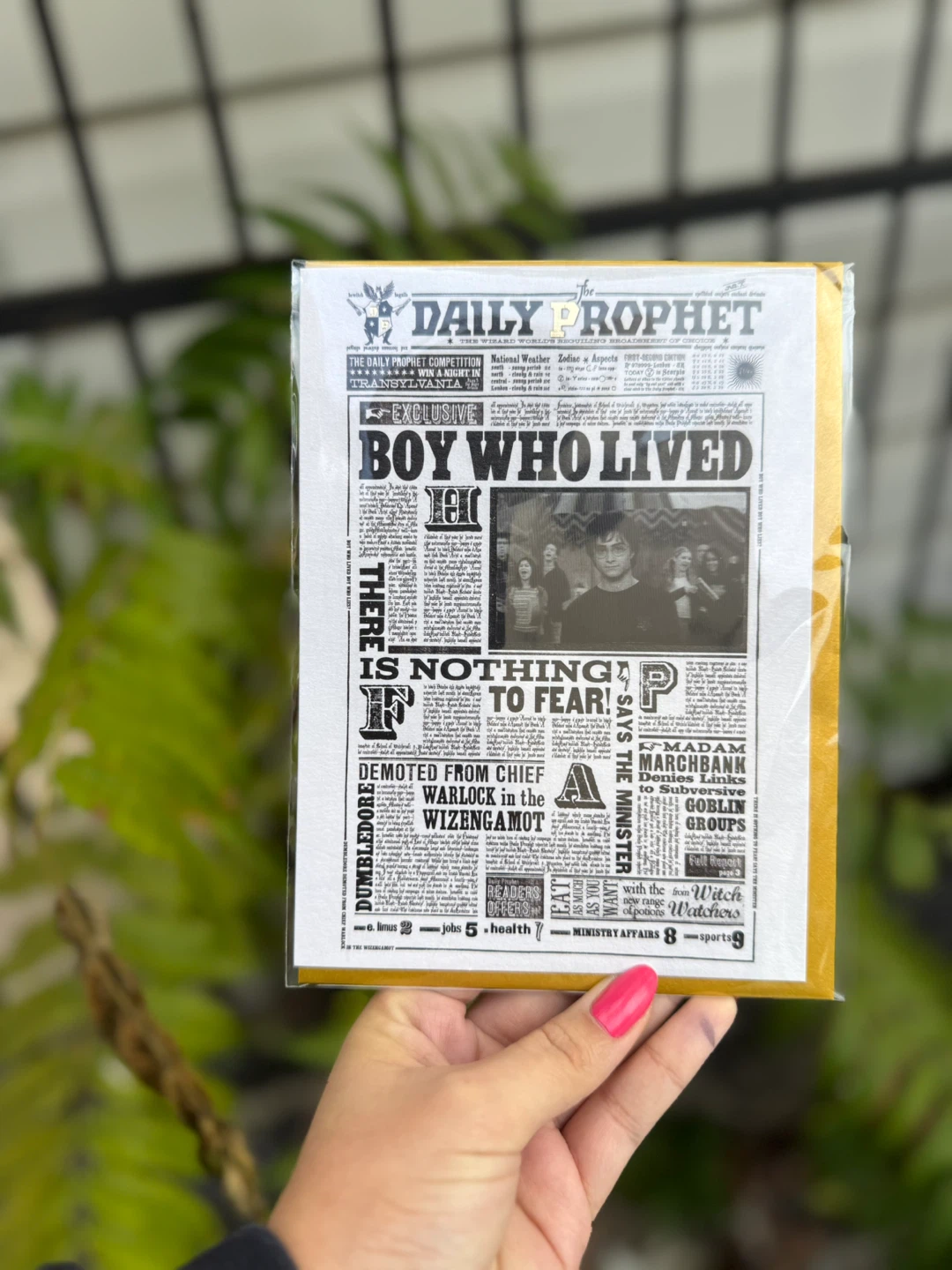Harry Potter Daily Prophet 'Boy Who Lived' Card