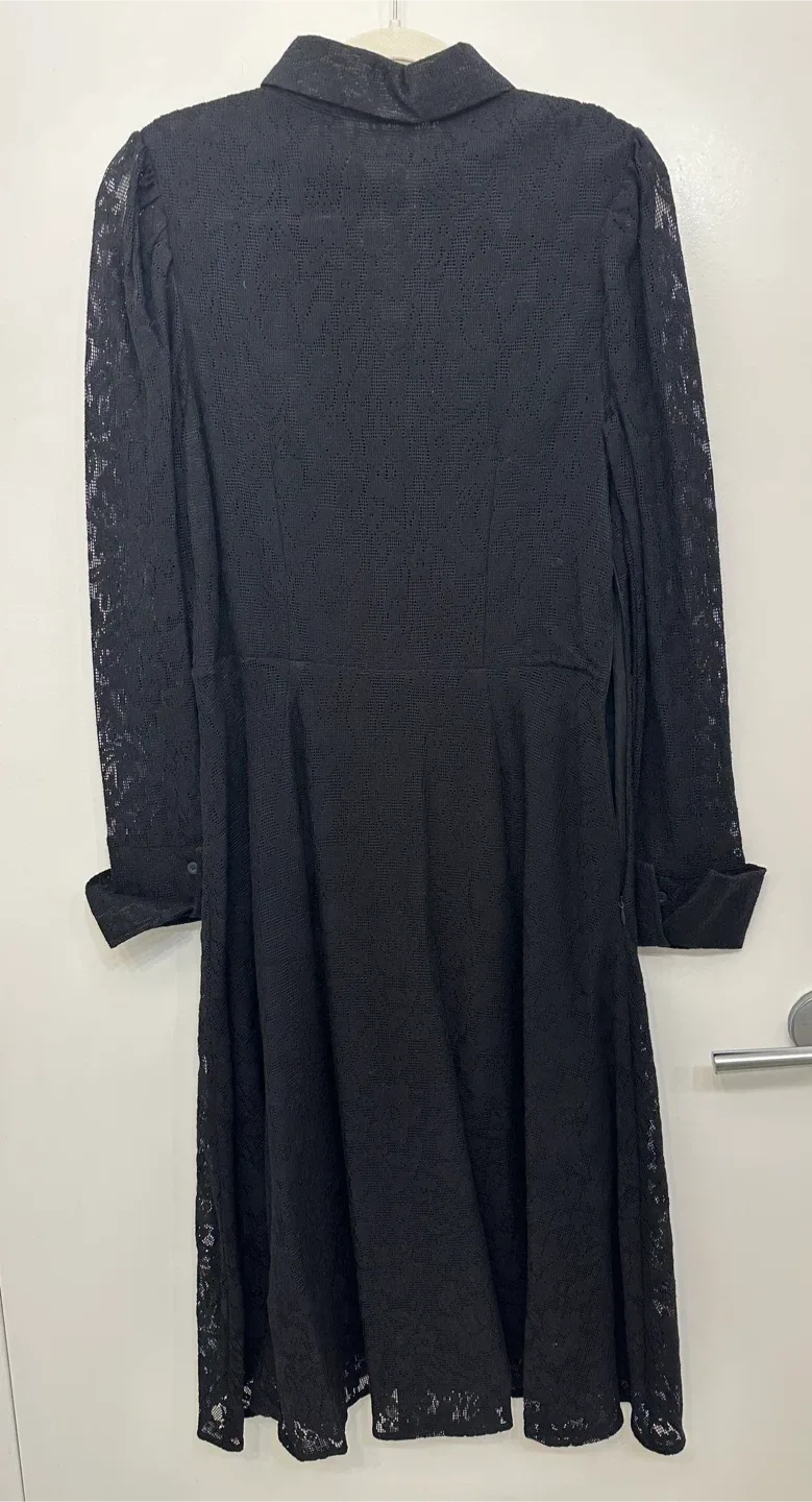 Black Lace Dress image indicator(2)