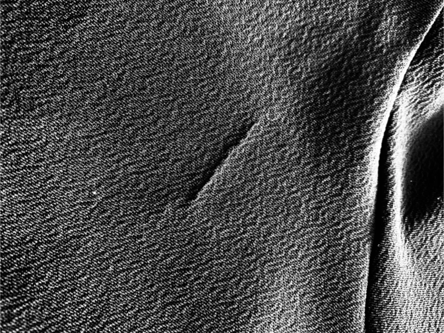 Women Black Dress (S/M) image indicator(3)