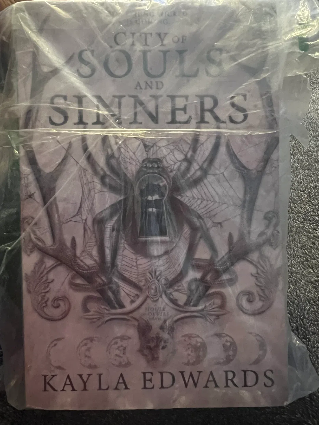 City of Souls and Sinners by Kayla Edwards image indicator(2)
