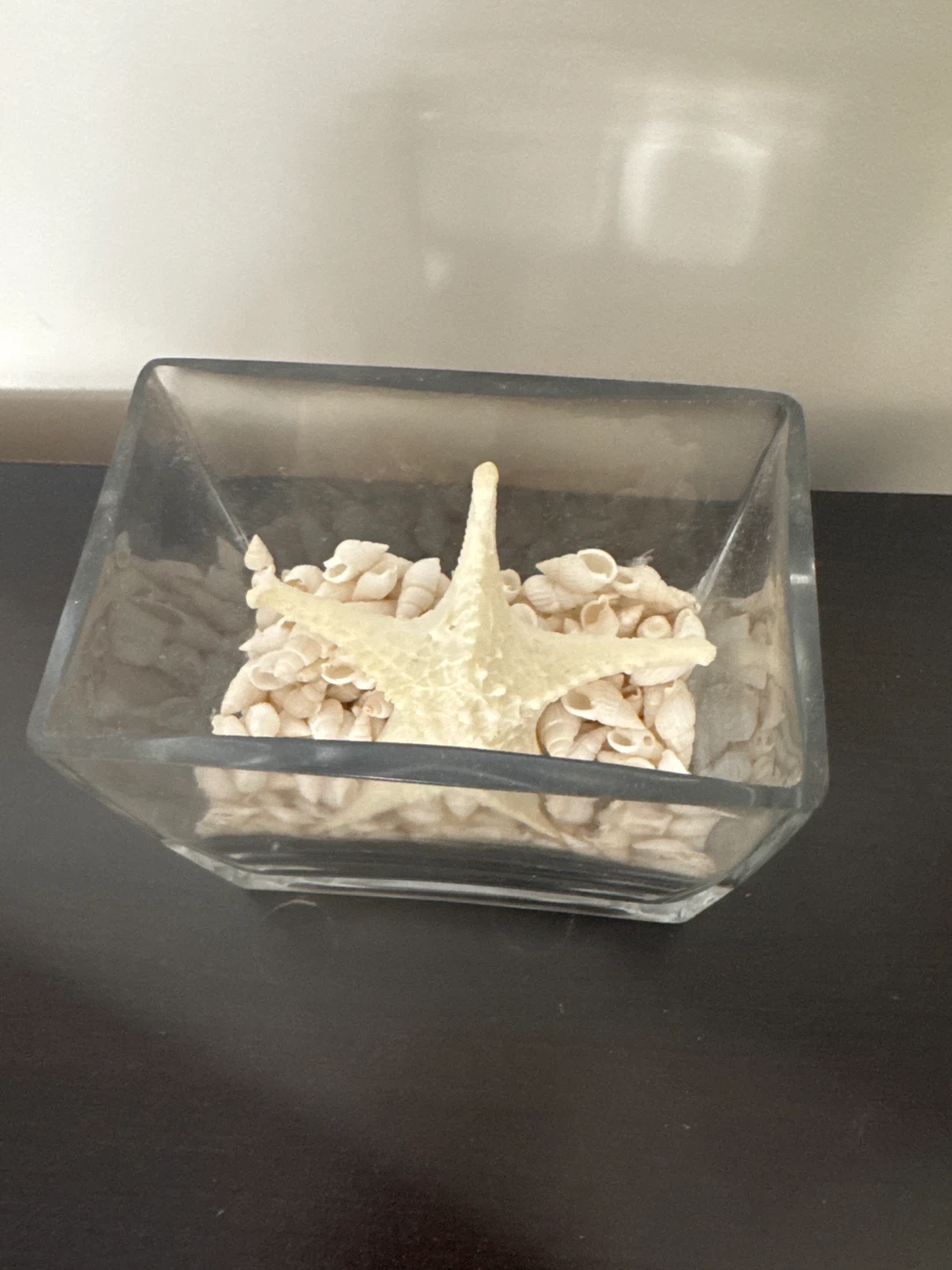Decorative Starfish in Glass Vase 4 inch’s by 4.5 inches - photo 2