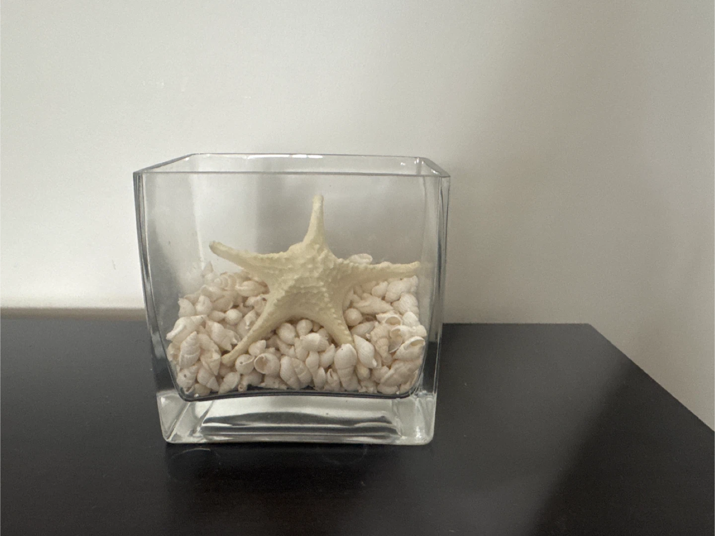 Decorative Starfish in Glass Vase 4 inch’s by 4.5 inches