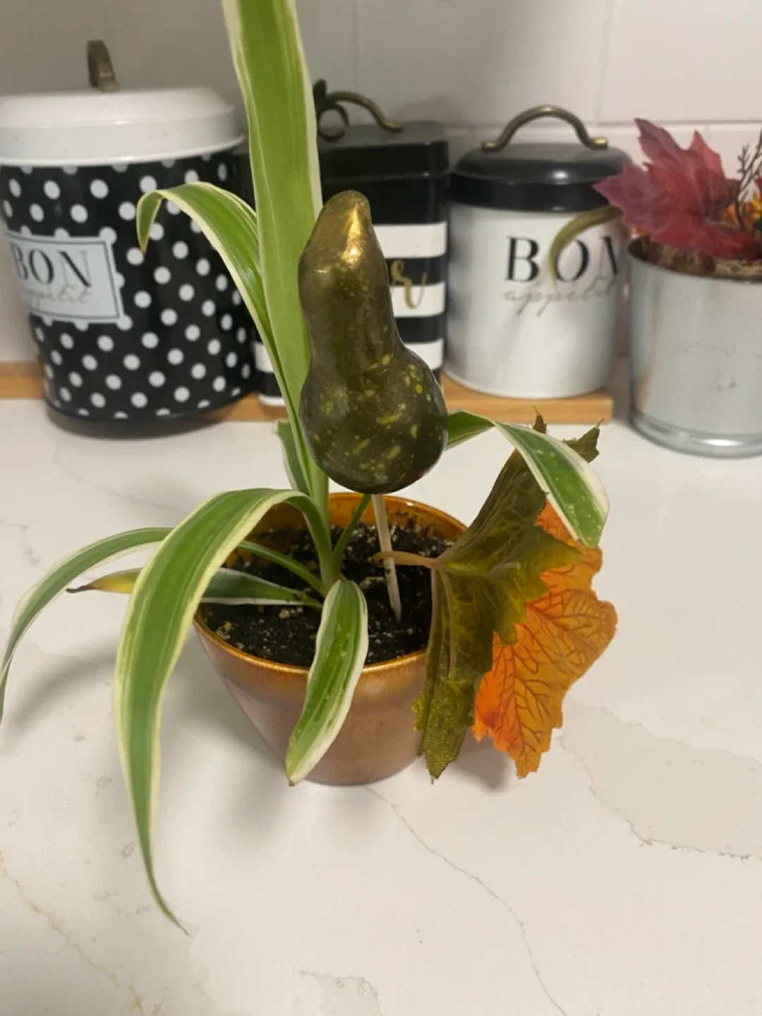 Potted Plant with Decorative Pear image indicator(2)